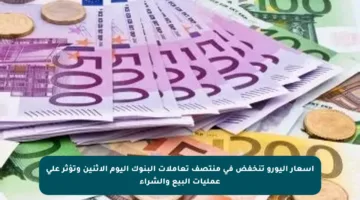 أسعار اليورو تنخفض في منتصف تعاملات البنوك اليوم الاثنين وتؤثر على عمليات البيع والشراء